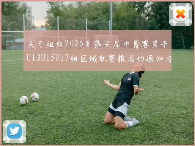 关于组织2026年第五届中青赛男子U13U15U17组区域联赛报名的通知与要求